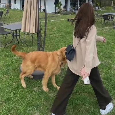 特瑞萨的噩梦